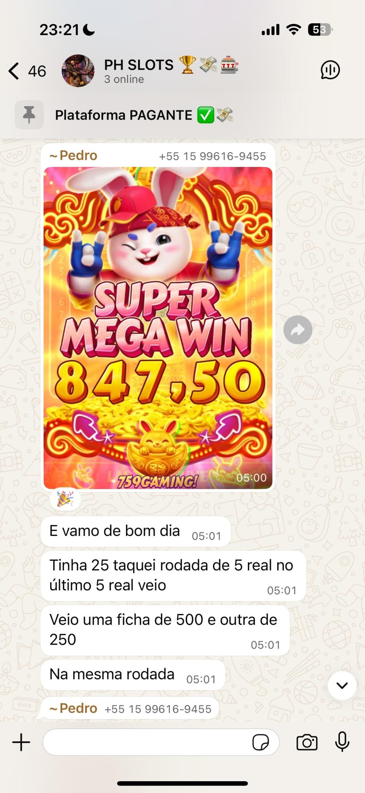 Prova-Ph-2-scaled.jpeg